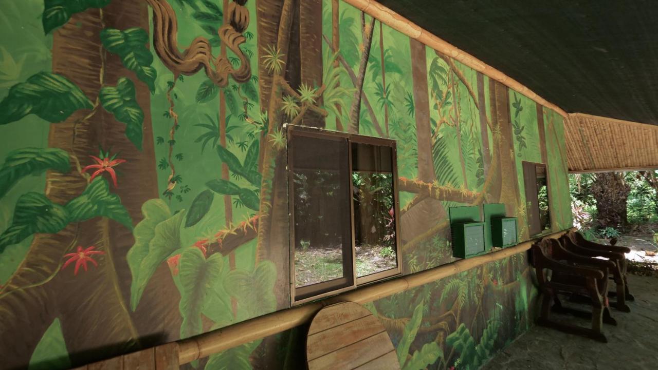 Casa Manglar Villa Puerto Jiménez 外观 照片