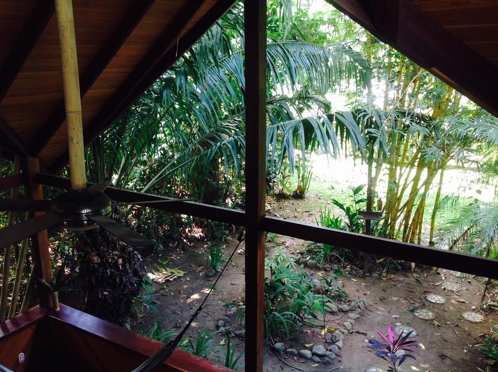 Casa Manglar Villa Puerto Jiménez 外观 照片
