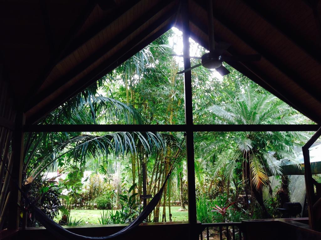 Casa Manglar Villa Puerto Jiménez 外观 照片