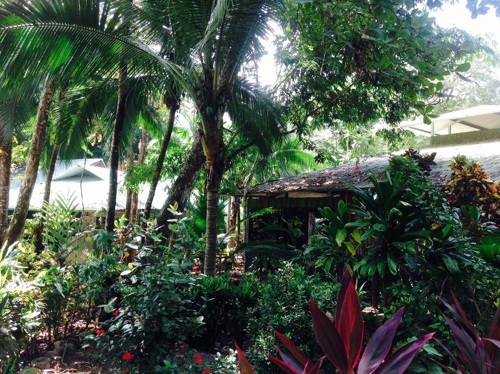 Casa Manglar Villa Puerto Jiménez 外观 照片