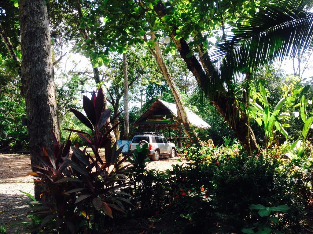 Casa Manglar Villa Puerto Jiménez 外观 照片