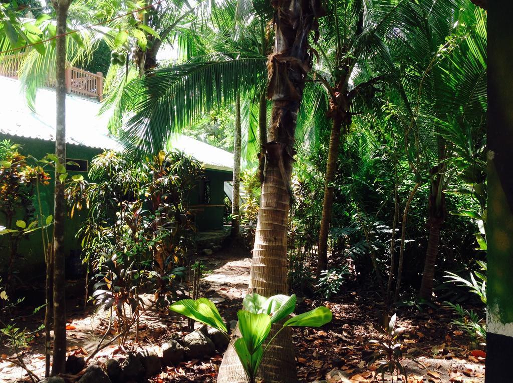 Casa Manglar Villa Puerto Jiménez 外观 照片