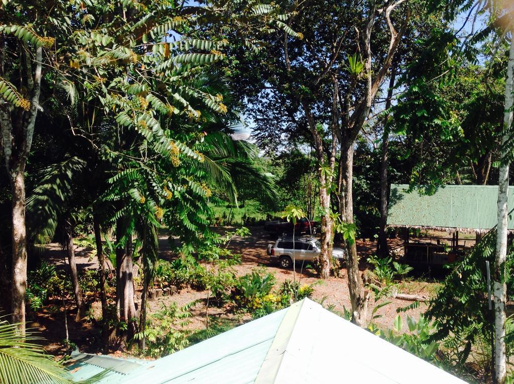 Casa Manglar Villa Puerto Jiménez 外观 照片