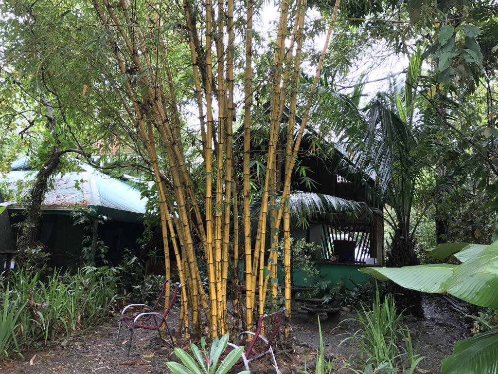Casa Manglar Villa Puerto Jiménez 外观 照片
