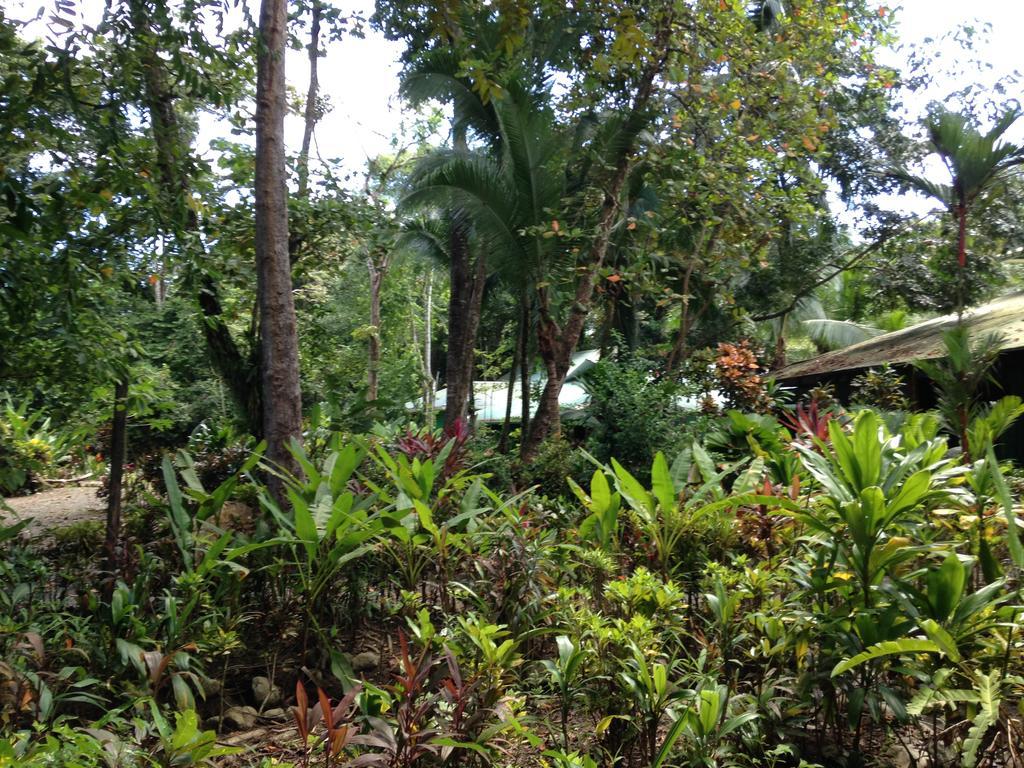 Casa Manglar Villa Puerto Jiménez 外观 照片